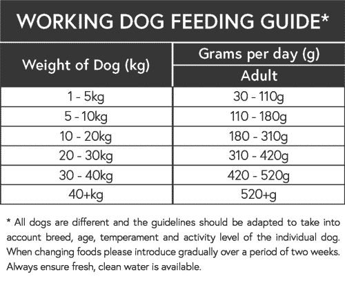 working dog feeding guide
