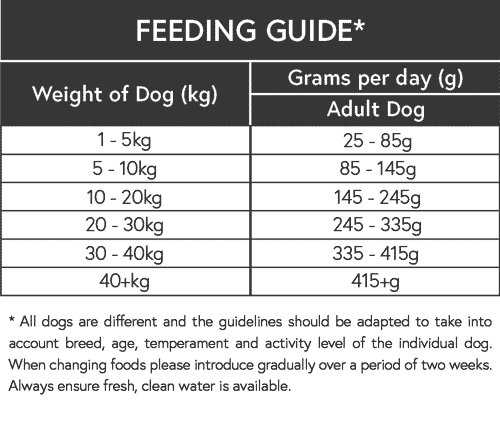 Adult Dog feeding guide