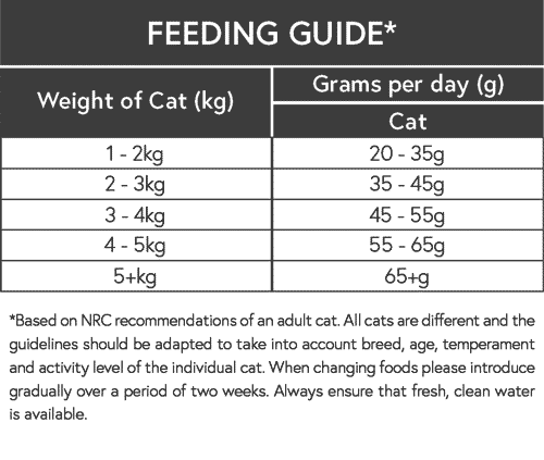 Adult Cat feeding guide