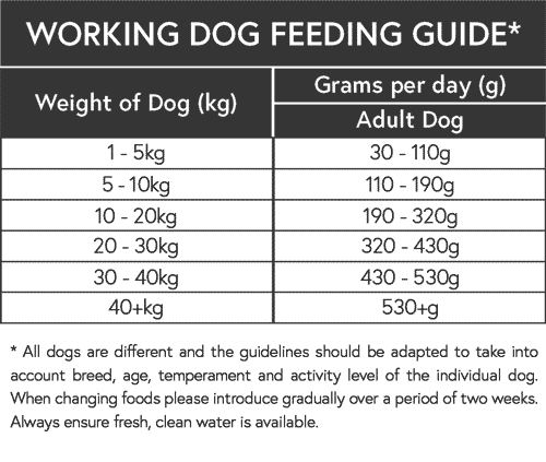 working-dog-feeding-guide