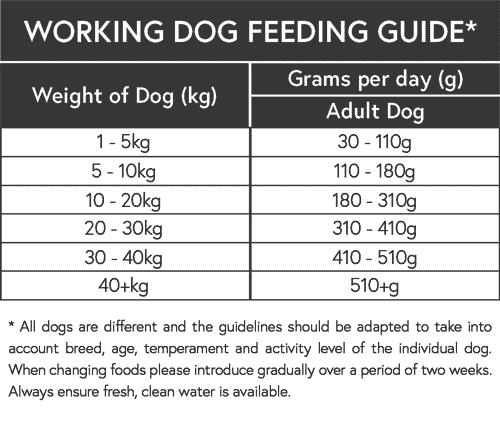working-dog-feeding-guide