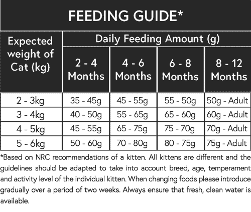 Kitten Feeding Guide